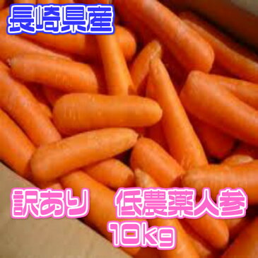 【送料無料】【西日本産】訳あり 人参 大 約9〜10kg(北海道沖縄別途送料加算)人参ジュース/にんじんジュース/人参サラダ/にんじん/ニンジン/訳有/訳あり/訳アリ/ワケあり/敬老の日/お歳暮/歳暮/サラダ/スムージー/野菜スティック/