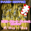 【フィリピン・エクアドル産】ハンドバナナ チキータバナナ プ...