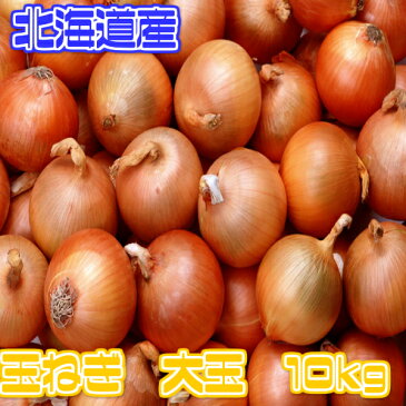 【送料無料】【北海道産】玉ねぎ Lサイズ 約10kg(北海道沖縄別途送料加算)玉ネギ/たまねぎ/タマネギ/玉葱/サラダ/スープ/敬老の日/お歳暮/歳暮/高品質