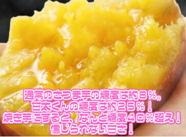 【送料無料】【大分県産】訳あり　甘太くん　M〜3Lサイズ　約5kg(北海道沖縄別途送料加算)かんたくん/蜜芋/焼芋/焼き芋/煮物/さつま芋/さつまいも/サツマイモ/サツマ芋/スイートポテト/芋菓子/おせち/お節/栗きんとん/訳あり/スイーツ/高糖度