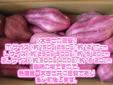 【送料無料】【大分県産】訳あり　甘太くん　M〜3Lサイズ　約5kg(北海道沖縄別途送料加算)かんたくん/蜜芋/焼芋/焼き芋/煮物/さつま芋/さつまいも/サツマイモ/サツマ芋/スイートポテト/芋菓子/おせち/お節/栗きんとん/訳あり/スイーツ/高糖度