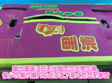 【送料無料】【あす楽】【徳島県産】訳あり　なると金時　里むすめ 　Sサイズ　約5kg(北海道沖縄別途送料加算)鳴門金時/焼き芋/煮物/さつま芋/さつまいも/サツマイモ/サツマ芋/薩摩芋/スイートポテト/芋菓子/おせち/お節/栗きんとん/訳アリ/ワケあり/スイーツ/お菓子