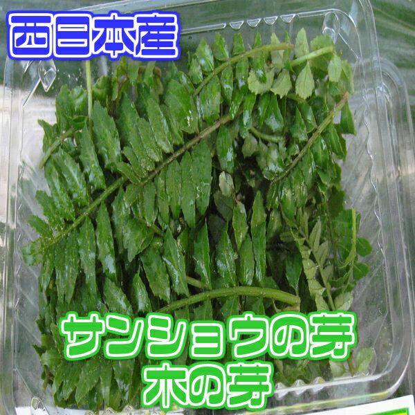 【滋賀県　他西日本産】 木の芽　山椒の若芽【野菜詰め合わせセットと同梱で送料無料】【西日本産 無農薬・低農薬・特別栽培農産物】