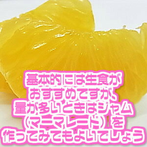 【送料無料】【あす楽】【西日本産】訳あり　八朔　大玉限定　約10kg(北海道沖縄別途送料加算)はっさく/みかん/ミカン/蜜柑/訳有/訳あり/訳アリ/ワケあり/はっさく/柑橘/果実/果物/フルーツ/ジュース/ジャム/スムージー/ご家庭用/御年賀/歳暮/