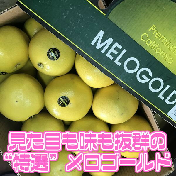 ������̵���ۡڥ���ե���˥����������� ���������� �礭�����ޤ��� ��5kg ��10kg ��15kg(�̳�ƻ�������������û�)