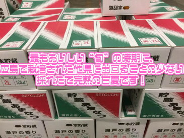 【広島県　他西日本産】甘夏みかん　あまなつかん　大きさおまかせ　訳あり　約10kg【ゆうパック送料無料】(北海道・沖縄県のお客様は送料1000円)【西日本産 低農薬・特別栽培農産物】【佐川急便・ヤマト運輸送料別】