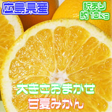 【広島県　他西日本産】甘夏みかん　あまなつかん　大きさおまかせ　訳あり　約10kg【ゆうパック送料無料】(北海道・沖縄県のお客様は送料1000円)【西日本産 低農薬・特別栽培農産物】【佐川急便・ヤマト運輸送料別】