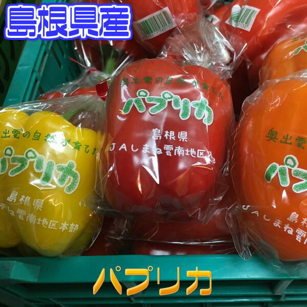 【島根県産】パプリカ　1個　約180g【野菜詰め合わせセットと同梱で送料無料】【送料別】お歳暮/歳暮/中元/お中元/野菜/ぱぷりか/敬老の日