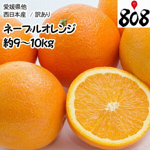 【送料無料】【西日本産】訳あり　ネーブルオレンジ　大きさおまかせ　風袋込　約9〜10kg(北海道沖縄別途送料加算)