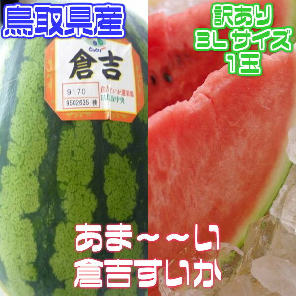 【予約商品】6月中旬頃発送予定【鳥取県産】倉吉すいか3Lサイズ　1玉8kg以上　訳あり【常温便送料無料】(北海道沖縄別途送料加算)スイカ/すいか/西瓜/果物/スイカジュース/暑中見舞い/残暑見舞い/中元/訳有/訳あり/訳アリ/ワケあり