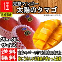 【宮崎県産】完熟マンゴー 太陽のタマゴ 2L〜3Lサイズ 1...