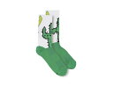 CINELLI (チネリ) SOCKS CACTUS ( カクタス ) ソックス
