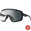 SMITH Wildcat(スミス ワイルドキャット )Asia Fit Photochromic サングラス