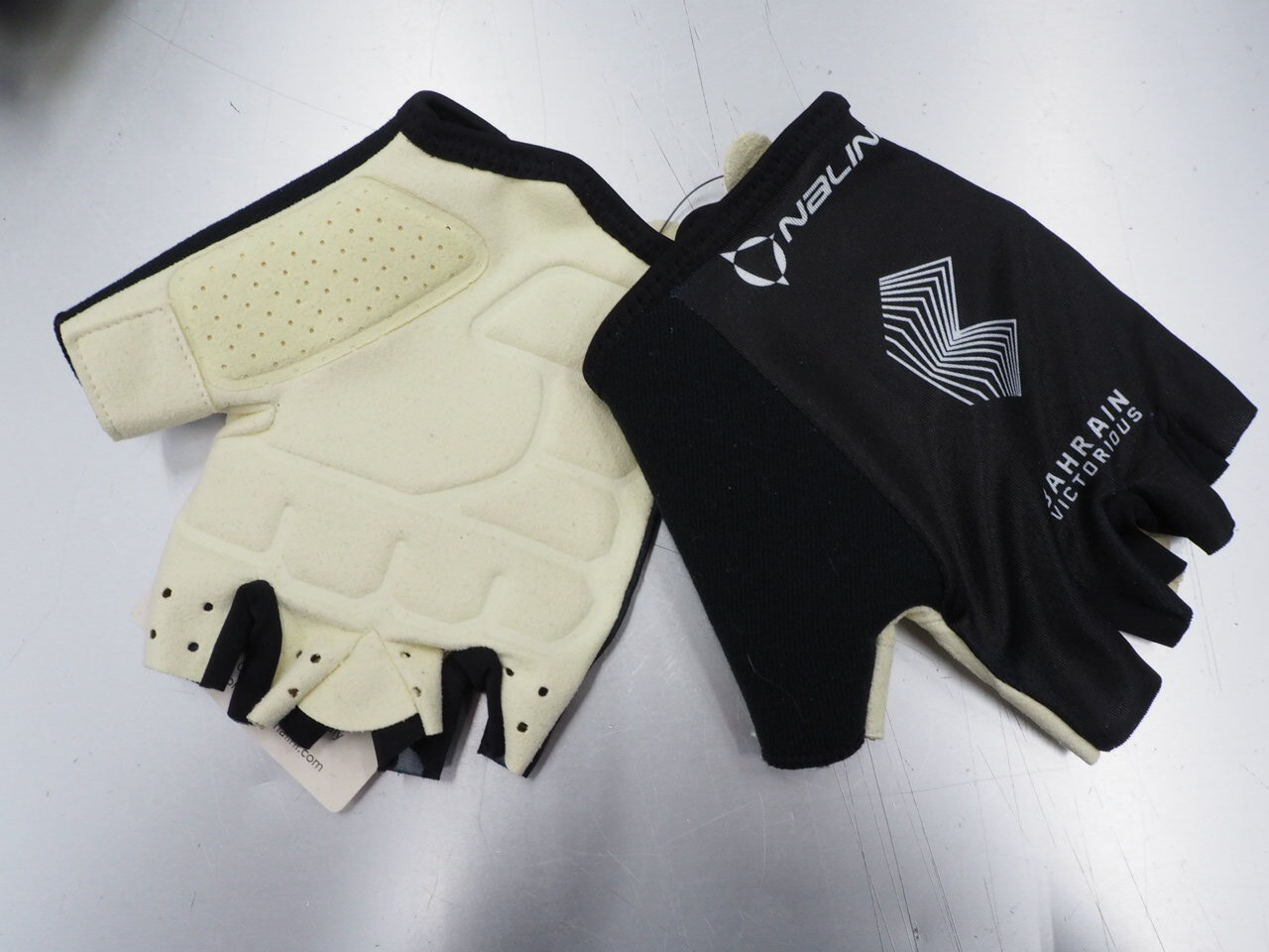 NALINI BAHRAIN VICTORIOUS GLOVE(ナリーニバーレーンビクトリアス グローブ) 2021