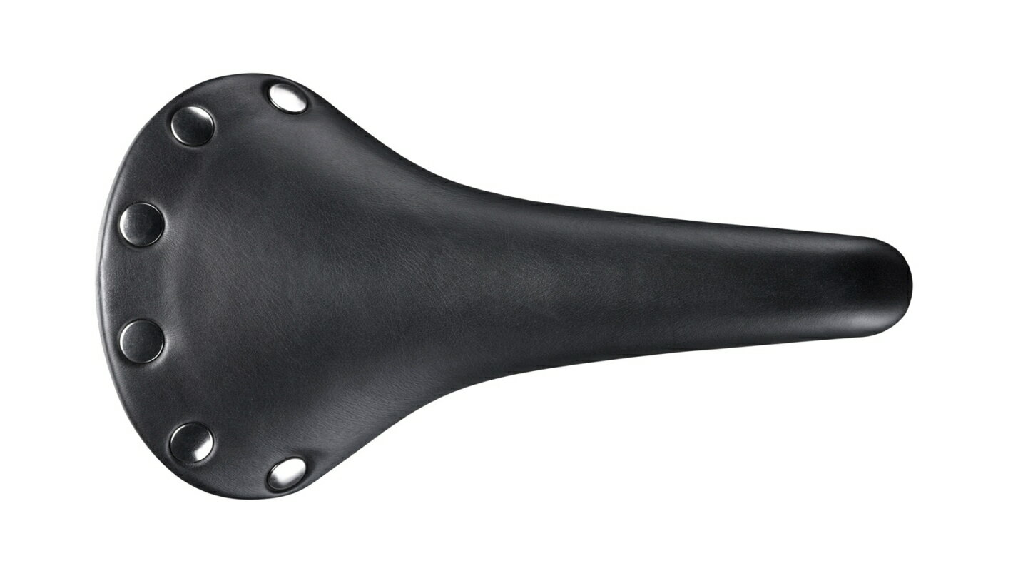 【送料無料】SELLE SANMARCO Regal le Classiche（セラ サンマルコ リーガル ル クラシケ）サドル ( 495C075)