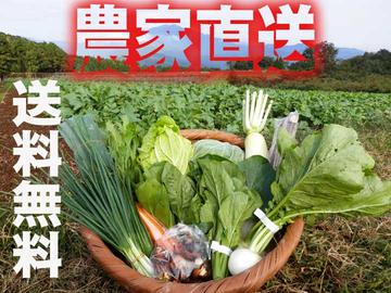 九州佐賀の農家直送野菜セット【ク