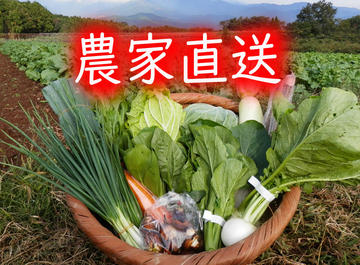 九州佐賀の農家直送野菜セット【クール便】【10品詰め合わせ＋こだわりの【たまご】