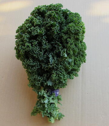 サラダにも適したカーリーケール　たっぷりの一束200g【クール便】