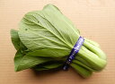 収穫したその日に発送します『ちんげん菜』【クール便】