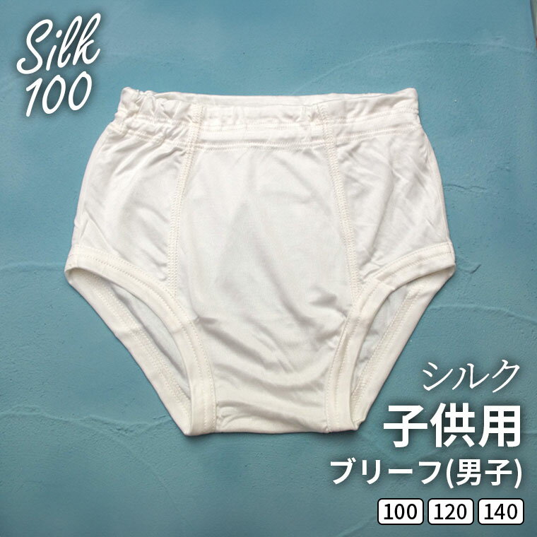 【MAX800円クーポン＆P5倍】シルク 子