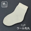 冷えとり靴下 正活絹 ウール先丸靴下(18cm) ソックス 