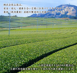 ほうじ茶・紫(山英)100g掛川茶静岡茶茶葉残留農薬0冷え取り【メール便不可】【あす楽】841