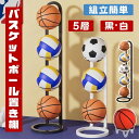 【整理収納アドバイザー監修!プレゼント企画】ボールスタンド 玄関 ボール 収納 ボールラック ボール 片付け ボールスタンド ボール 整理 ボール置き サッカーボール バスケ フレーム ボール整理カゴ ボール収納 玄関収納 バスケットボール