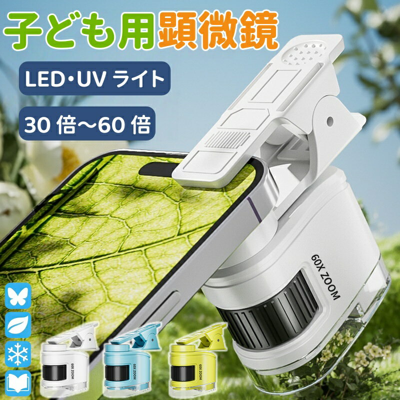 商品画像1