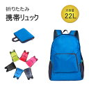858shop 携帯用 リュックサック 折りたたみリュック 超軽量 22L大容量 防水 撥水 サブバッグ エコバッグ ハイキングデイパック コンパクト アウトドア 休暇 学校 スポーツ キャンプ 登山 ショッピングなど レディース/メンズ 春 夏 秋 冬 オールシーズン