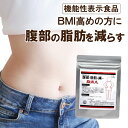 \在庫限定★価格/ お腹 脂肪 減らす 機能性表示食品 ダイエット サプリ 脂減丸 1ヶ月分 ブラックジンジャー サプリメント 皮下脂肪 メール便 ダイエット ダイエットサプリ 脂減丸 送料無料