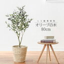 観葉植物 フェイク オリーブの木 樹 ポット鉢カバー セット 人工観葉植物 中型 造花 インテリア 高品質 リアル アーティフィシャルフラワー リビング オフィス 医院 ホテル 飲食店 枯れない 腐らない 衛生的 フェイクグリーン 新生活 新築 引越し プレゼント ギフト おしゃれ