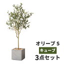 楽天はなどき観葉植物 オリーブの木 鉢カバー セット フェイクグリーン 高品質 アーティフィッシャルフラワー 造花 人工観葉植物 インテリア オフィス ホテル サロン 医院 飲食店 ショップ 自宅 リビング 寝室 枯れない 臭わない 水不要 衛生的 癒し プレゼント ギフト おしゃれ