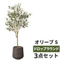 オリーブの木 観葉植物 フェイク 大型 鉢カバー セット 高品質 アーティフィッシャルフラワー 造花 人工観葉植物 グリーン インテリア オフィス ホテル サロン 医院 飲食店 ショップ 自宅 リビング 寝室 枯れない 臭わない 水不要 衛生的 新生活 プレゼント ギフト おしゃれ