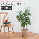 カポック 観葉植物 フェイク グリーン リアル シェフレラ 斑入り 大型 造花 人工 カポック 6号サイズ 鉢カバー セット インテリア 雑貨 リビング 玄関 枯れない 衛生的 ロビー テラス お店 オフィス 医院 飲食店 サロン 新築 アーティフィシャルフラワー プレゼント ギフト おしゃれ