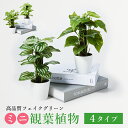 ミニ観葉植物 観葉植物 フェイク グリーン 卓上 人工観葉植物 ミニ ポット モンステラ ポトス ペペロミア フィロ 鉢 癒し ボックス インテリア 造花 枯れない 衛生的 雑貨 キッチン 洗面所 トイレ 玄関 寝室 リビング 新生活 引越し 新築 プレゼント ギフト おしゃれ