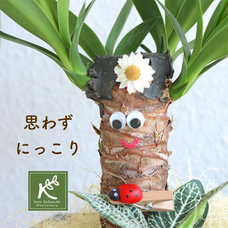 《父の日プレゼント》運気が上がる おもしろ観葉植物 お誕生日 笑顔を贈る プレゼント かわいい 大人気 癒しの笑顔シリーズ 幸せのユッ..