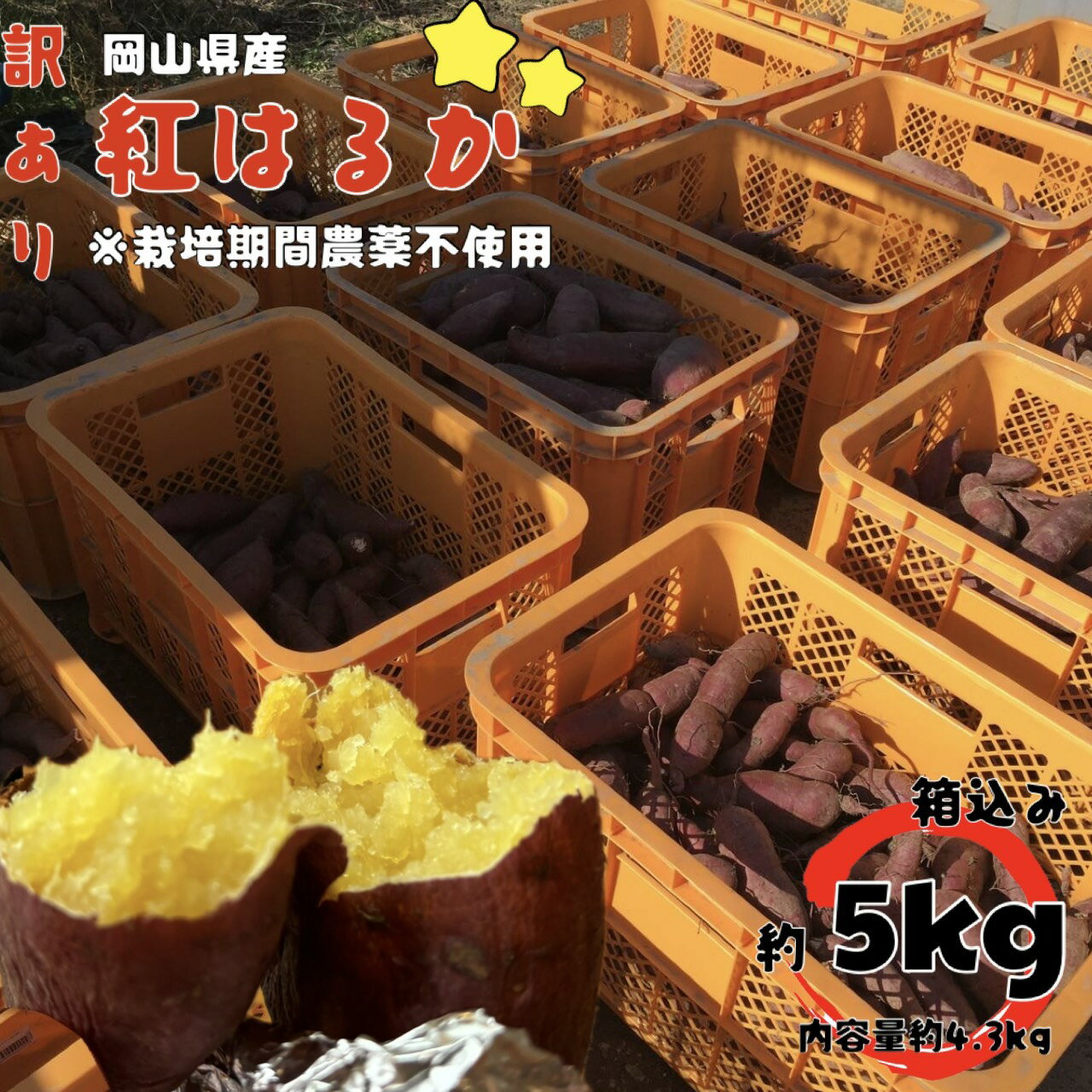 栽培期間農薬不使用新鮮土付きさつま...