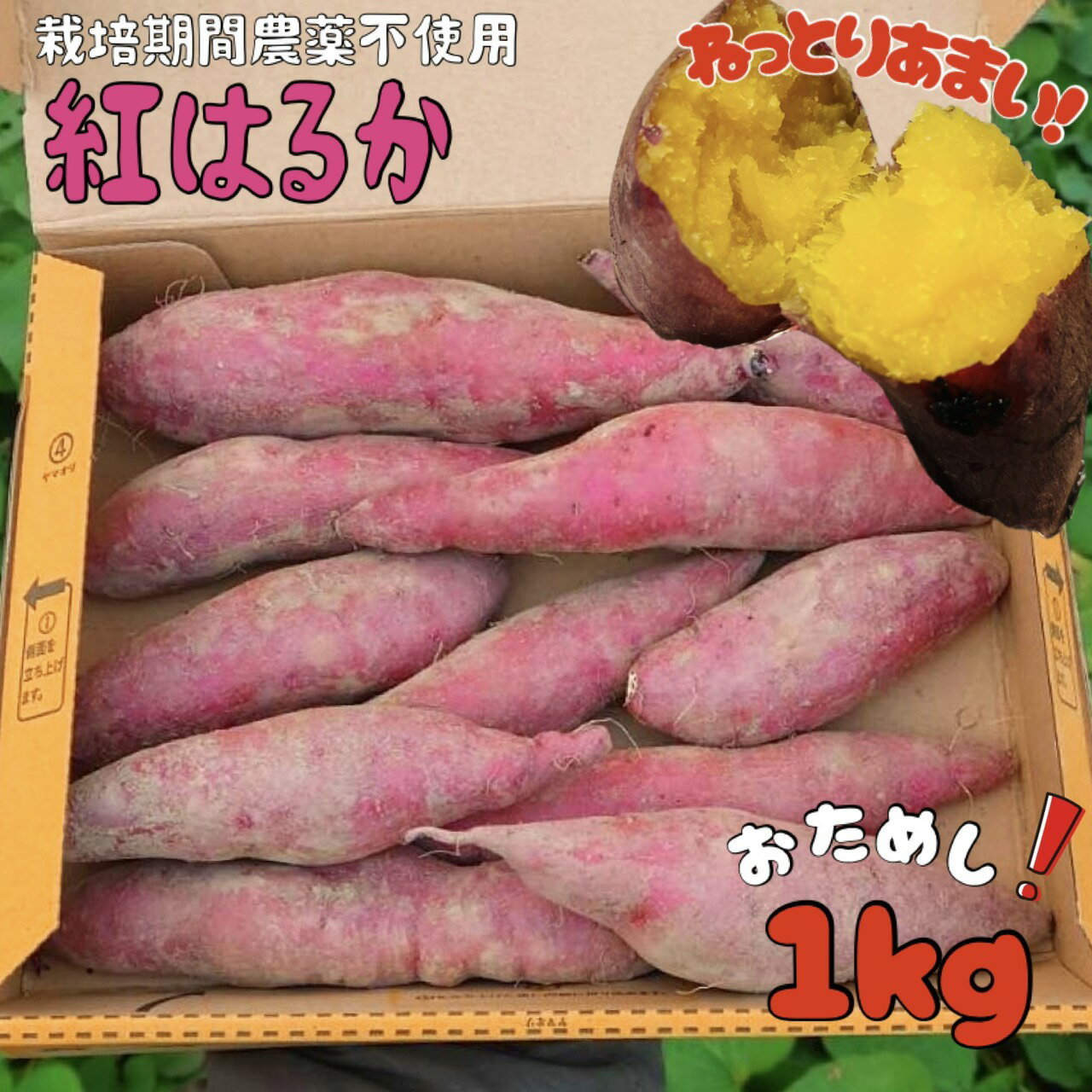 【送料無料】【1000円ぽっきり】栽培期間農薬不使用　新鮮土付き　さつまいも 紅はるか 2025年収穫　新物 令和7年産 岡山県産　【箱込み1kg】サツマイモ ねっとり甘い 薩 摩芋 密芋 イモ いも スイーツ 秋の味覚【不揃い】【訳あり】のサムネイル
