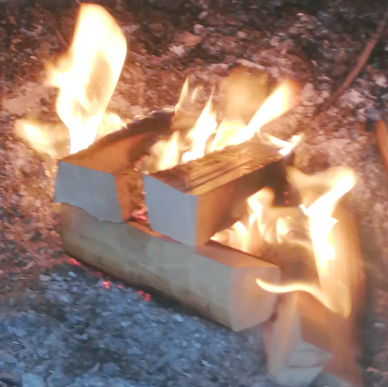 薪 宅配80サイズ 約17cm 焚火用 日本産ひのき ダンボール箱入り キャンプ バーベキュー BBQ 暖炉 コンパクト薪ストーブ アウトドア等に 針葉樹通販格安セール情報 楽天 通販