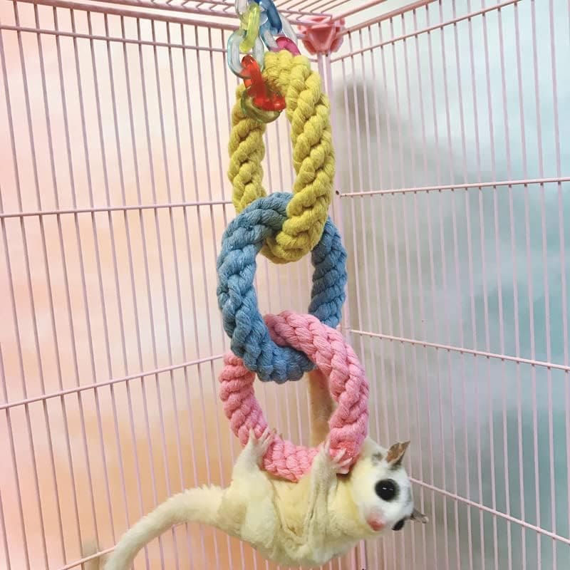 88flix モモンガ おもちゃ 遊び場 ペット用品モモンガ 小動物 フクロモモンガおもちゃ