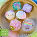 紫陽花づくし上生菓子6個入 送料無料 誕生日 プレゼント 父の日 お中元 ギフト 手土産 和菓子 練り切り 贈り物 かわいい お取り寄せ 錦玉羹 ゼリー 贈答 ホームパーティー 梅雨