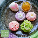 9月の上生菓子6個入 送料無料 9/15敬老の日にもおすすめ 誕生日 プレゼント 贈り物 限定 贈答 ギフト 手土産 和菓子 人気 お取り寄せ 練り切り 本格 高級 両親 60代 70代 80代 90代