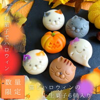 数量限定【送料無料】猫とハロウィンの上生菓子6個入 アニマル 練り切り 誕生日 和...