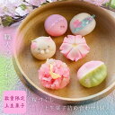 ホワイトデーにも【送料無料】桜づくし上生菓子6個入り 誕生日 プレゼント お返し スイーツ かわいい 贈答 ギフト 和菓子 練り切り 本格 手土産