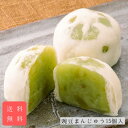 豌豆(えどまめ)まんじゅう15個入 送料無料 お中元 御仏前 お供え 誕生日 プレゼント 贈答 進物 手土産 お中元 お歳暮 御年賀 御年始 ギフト 山形 富貴...