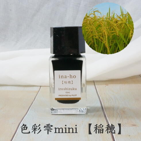 パイロット　PILOT 証券用インク（証券用インキ）30ml INK-30-DO