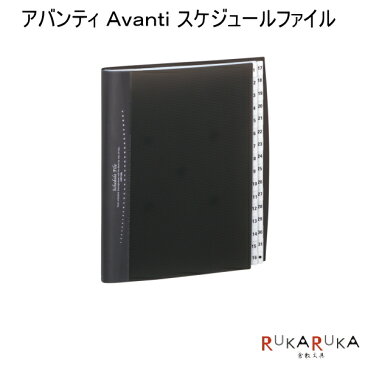 Avantiシリーズ　アバンティ Avanti スケジュールファイル　ブラック　リヒト　A-4400-24