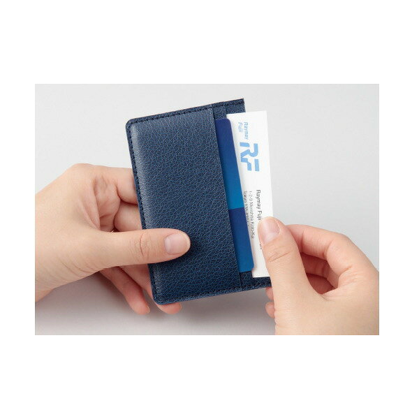 《zeitVektor》ツァイトベクター カードケース／名刺入れv クロスペーパー製 [全8色] 3ポケット レイメイ藤井　24-CH607* 【ネコポス可】名刺入れ シュリンク 槌目 リザード　コンパクト　薄型