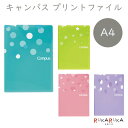 キャンパスプリントファイル A4コクヨ フ-C755LB〔全4色〕*ネコポス不可* 学校 お便り 小学生 かわいい ストッパー付き(3)