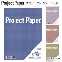 Project Paper《プロジェクトペーパー》A4サイズ 5mm方眼 50シート 全5色 オキナ 170-PH150 【4冊までネコポス可】 M便 1/4 レポートパッド ノートパッド エコパルプ ビジネス 会議 企画 プランニング レポート用紙